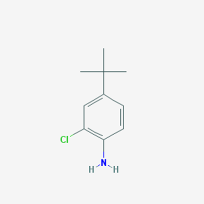 Picture of 4-(tert-Butyl)-2-chloroaniline