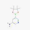 Picture of 5-(4,4,5,5-Tetramethyl-1,3,2-dioxaborolan-2-yl)pyridin-3-amine
