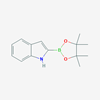 Picture of 2-(4,4,5,5-Tetramethyl-1,3,2-dioxaborolan-2-yl)-1H-indole
