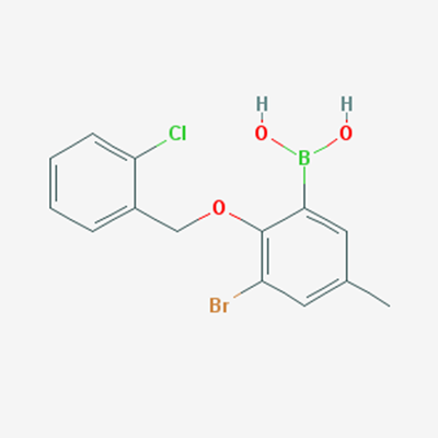 Picture of (3-Bromo-2-((2-chlorobenzyl)oxy)-5-methylphenyl)boronic acid
