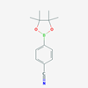 Picture of 4-(4,4,5,5-Tetramethyl-1,3,2-dioxaborolan-2-yl)benzonitrile