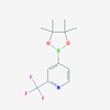 Picture of 4-(4,4,5,5-Tetramethyl-1,3,2-dioxaborolan-2-yl)-2-(trifluoromethyl)pyridine