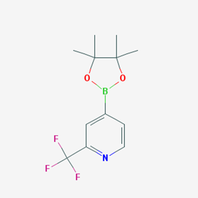 Picture of 4-(4,4,5,5-Tetramethyl-1,3,2-dioxaborolan-2-yl)-2-(trifluoromethyl)pyridine