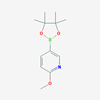 Picture of 2-Methoxy-5-(4,4,5,5-tetramethyl-1,3,2-dioxaborolan-2-yl)pyridine