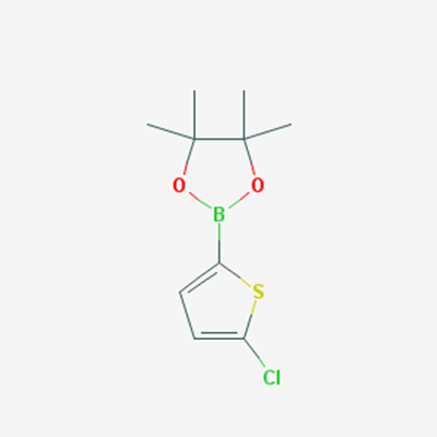 Picture of 2-(5-Chlorothiophen-2-yl)-4,4,5,5-tetramethyl-1,3,2-dioxaborolane