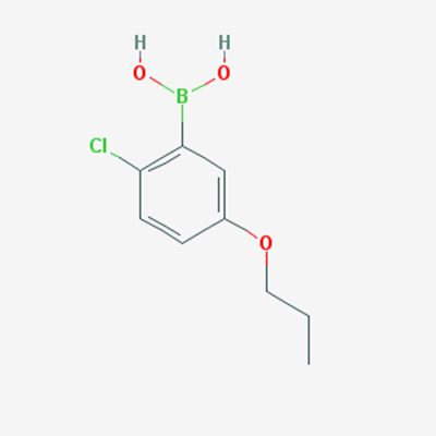 Picture of (2-Chloro-5-propoxyphenyl)boronic acid