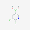 Picture of (5,6-Dichloropyridin-3-yl)boronic acid