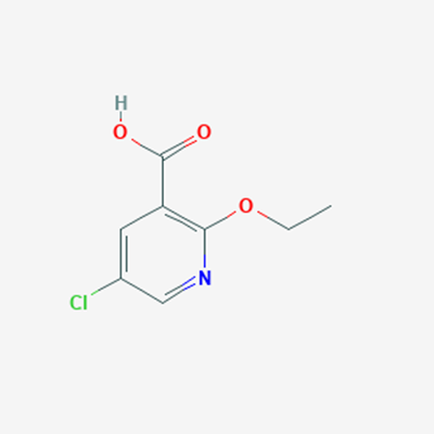 Picture of 5-Chloro-2-ethoxynicotinic acid