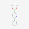 Picture of 2-Phenyl-5-(4,4,5,5-tetramethyl-1,3,2-dioxaborolan-2-yl)pyridine