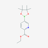 Picture of Ethyl 5-(4,4,5,5-tetramethyl-1,3,2-dioxaborolan-2-yl)picolinate