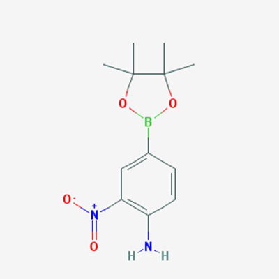 Picture of 2-Nitro-4-(4,4,5,5-tetramethyl-1,3,2-dioxaborolan-2-yl)aniline