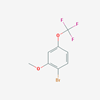 Picture of 1-Bromo-2-methoxy-4-(trifluoromethoxy)benzene