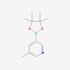 Picture of 3-Methyl-5-(4,4,5,5-tetramethyl-1,3,2-dioxaborolan-2-yl)pyridine