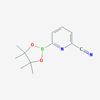 Picture of 6-(4,4,5,5-Tetramethyl-1,3,2-dioxaborolan-2-yl)picolinonitrile