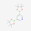 Picture of 3,5-Bis(4,4,5,5-tetramethyl-1,3,2-dioxaborolan-2-yl)pyridine