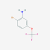 Picture of 2-Bromo-5-(trifluoromethoxy)aniline