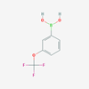 Picture of 3-(Trifluoromethoxy)phenylboronic Acid