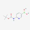 Picture of 6-(Boc-amino)pyridine-3-boronic Acid