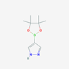 Picture of 4-Pyrazoleboronic Acid Pinacol Ester