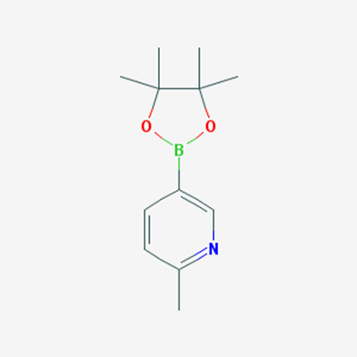 Picture of 2-Methylpyridine-5-boronic Acid Pinacol Ester