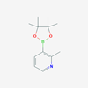 Picture of 2-Methylpyridine-3-boronic Acid Pinacol Ester