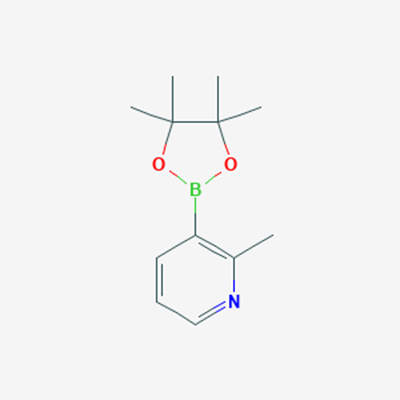Picture of 2-Methylpyridine-3-boronic Acid Pinacol Ester