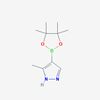 Picture of 3-Methylpyrazole-4-boronic Acid Pinacol Ester