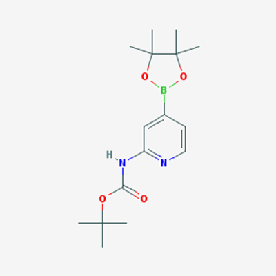 Picture of tert-Butyl (4-(4,4,5,5-tetramethyl-1,3,2-dioxaborolan-2-yl)pyridin-2-yl)carbamate