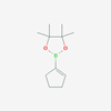 Picture of 2-(Cyclopent-1-en-1-yl)-4,4,5,5-tetramethyl-1,3,2-dioxaborolane