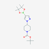 Picture of 1-(1-Boc-4-piperidyl)pyrazole-4-boronic Acid Pinacol Ester