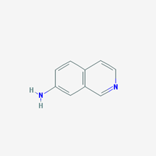 Picture of Isoquinolin-7-amine