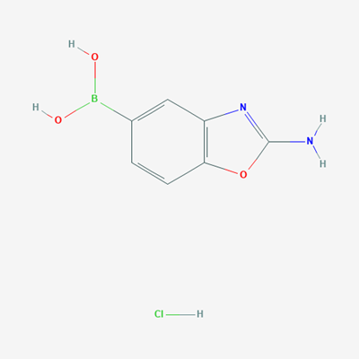 Picture of (2-Amino-1,3-benzoxazol-5-yl)boronic acid hydrochloride