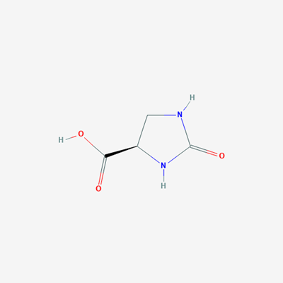 Picture of (R)-2-Oxoimidazolidine-4-carboxylic acid