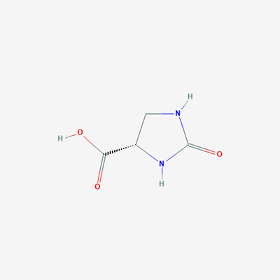 Picture of (S)-2-Oxoimidazolidine-4-carboxylic acid
