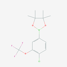 Picture of 2-(4-Chloro-3-(trifluoromethoxy)phenyl)-4,4,5,5-tetramethyl-1,3,2-dioxaborolane