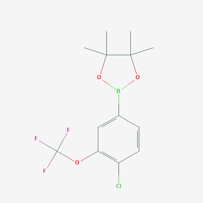 Picture of 2-(4-Chloro-3-(trifluoromethoxy)phenyl)-4,4,5,5-tetramethyl-1,3,2-dioxaborolane