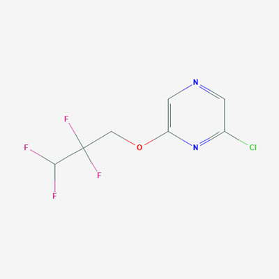 Picture of 2-Chloro-6-(2,2,3,3-tetrafluoropropoxy)pyrazine