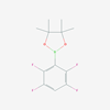 Picture of 4,4,5,5-Tetramethyl-2-(2,3,5,6-tetrafluorophenyl)-1,3,2-dioxaborolane