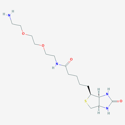 Picture of Biotin-PEG2-NH2