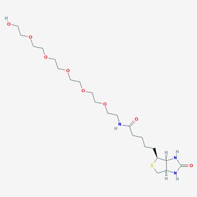 Picture of N-(17-Hydroxy-3,6,9,12,15-pentaoxaheptadecyl)-5-((3aS,4S,6aR)-2-oxohexahydro-1H-thieno[3,4-d]imidazol-4-yl)pentanamide