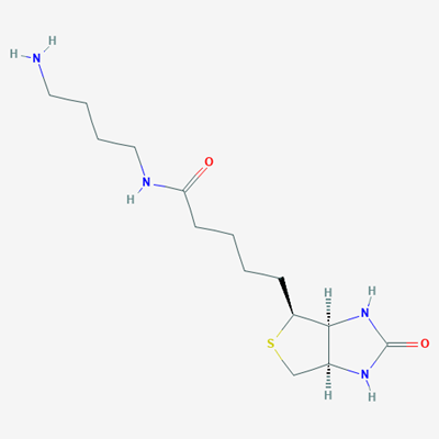 Picture of N-(4-Aminobutyl)-5-((3aS,4S,6aR)-2-oxohexahydro-1H-thieno[3,4-d]imidazol-4-yl)pentanamide