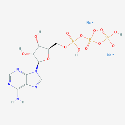 Picture of ATP.3Na,100mM solution