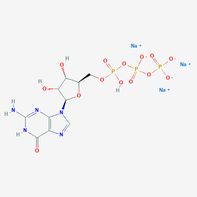 Picture of GTP.3Na,100mM solution